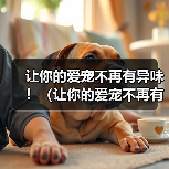 博美犬耳朵异味解决全攻略