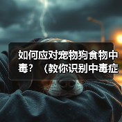 宠物狗食物中毒怎么办?救治与预防全解析 宠物狗食物中毒怎么办?救治与预防全解析
