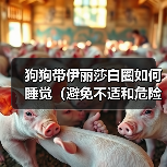 狗狗佩戴伊丽莎白圈正确睡眠方法 狗狗佩戴伊丽莎白圈正确睡眠方法