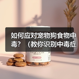 宠物狗食物中毒怎么办?救治与预防全解析 宠物狗食物中毒怎么办?救治与预防全解析