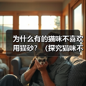 猫咪拒用猫砂的十大原因及解决方案