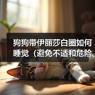 狗狗佩戴伊丽莎白圈正确睡眠方法 狗狗佩戴伊丽莎白圈正确睡眠方法