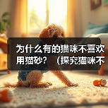 猫咪拒用猫砂的十大原因及解决方案
