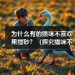 猫咪拒用猫砂的十大原因及解决方案