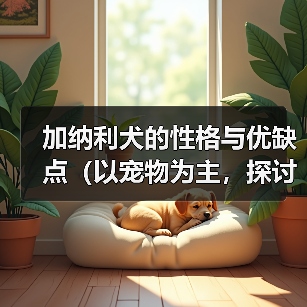 加纳利犬性格特点及科学养护指南 加纳利犬性格特点及科学养护指南