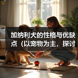 加纳利犬性格特点及科学养护指南 加纳利犬性格特点及科学养护指南