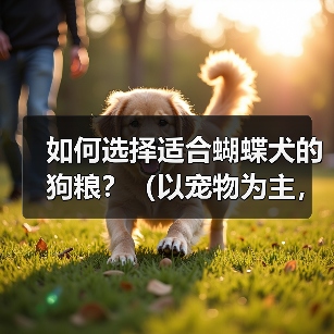 蝴蝶犬狗粮选择指南：营养搭配与喂养技巧