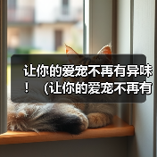 博美犬耳朵异味解决全攻略