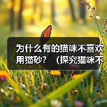 猫咪拒用猫砂的十大原因及解决方案