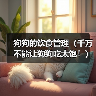 科学喂养狗狗 避免过量饮食保持健康