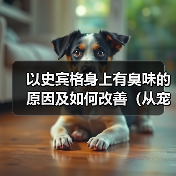 以史宾格狗狗异味来源与有效去除方法 以史宾格狗狗异味来源与有效去除方法