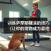 萨摩耶翻滚训练技巧，培养聪明表演犬指南