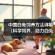 科学饲养白兔的15个关键要点