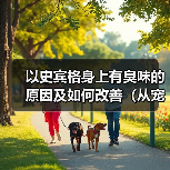 以史宾格狗狗异味来源与有效去除方法 以史宾格狗狗异味来源与有效去除方法