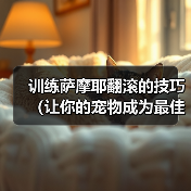 萨摩耶翻滚训练技巧，培养聪明表演犬指南