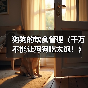 科学喂养狗狗 避免过量饮食保持健康