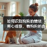 狗狗情绪识别指南:行为表现全解析 狗狗情绪识别指南:行为表现全解析