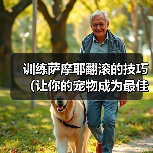 萨摩耶翻滚训练技巧，培养聪明表演犬指南