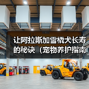阿拉斯加雪橇犬寿命延长指南:科学护理与健康习惯 阿拉斯加雪橇犬寿命延长指南:科学护理与健康习惯
