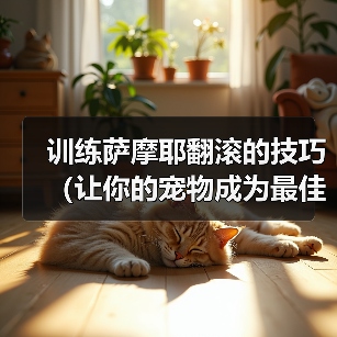 萨摩耶翻滚训练技巧，培养聪明表演犬指南
