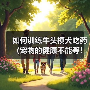 训练牛头梗乖乖吃药的实用技巧