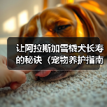 阿拉斯加雪橇犬寿命延长指南:科学护理与健康习惯 阿拉斯加雪橇犬寿命延长指南:科学护理与健康习惯