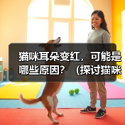 猫咪耳朵变红的常见原因及护理方法 猫咪耳朵变红的常见原因及护理方法
