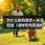 狗狗频繁舔舐背面的15种原因解析