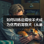 边境牧羊犬训练全攻略：打造忠诚可靠伴侣
