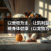 凯利蓝梗肥胖成因与健康护理指南