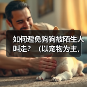 防止狗狗被陌生人带走的有效方法 防止狗狗被陌生人带走的有效方法