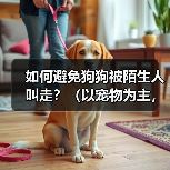 防止狗狗被陌生人带走的有效方法 防止狗狗被陌生人带走的有效方法
