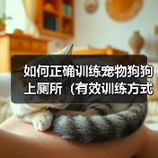 狗狗上厕所训练技巧：有效方法与注意事项全解析