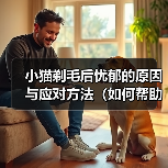 小猫剃毛后为何忧郁？科学应对指南