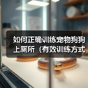 狗狗上厕所训练技巧：有效方法与注意事项全解析