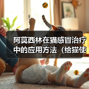 阿莫西林在猫感冒治疗中的应用方法(给猫使用阿莫西林治疗感冒的正确方法) 阿莫西林在猫感冒治疗中的应用方法(给猫使用阿莫西林治疗感冒的正确方法)