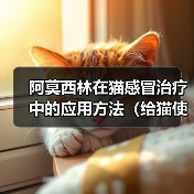 阿莫西林在猫感冒治疗中的应用方法(给猫使用阿莫西林治疗感冒的正确方法) 阿莫西林在猫感冒治疗中的应用方法(给猫使用阿莫西林治疗感冒的正确方法)
