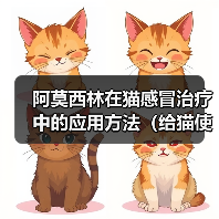 阿莫西林在猫感冒治疗中的应用方法(给猫使用阿莫西林治疗感冒的正确方法) 阿莫西林在猫感冒治疗中的应用方法(给猫使用阿莫西林治疗感冒的正确方法)