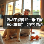 猫胡子能剪掉一半还能长出来吗?(探究猫胡子再生能力的神奇之处) 猫胡子能剪掉一半还能长出来吗?(探究猫胡子再生能力的神奇之处)