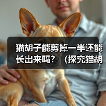 猫胡子能剪掉一半还能长出来吗?(探究猫胡子再生能力的神奇之处) 猫胡子能剪掉一半还能长出来吗?(探究猫胡子再生能力的神奇之处)