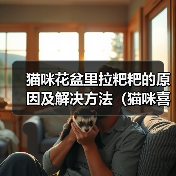 猫咪为何爱在花盆排便？科学解析与解决方法