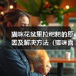猫咪为何爱在花盆排便？科学解析与解决方法