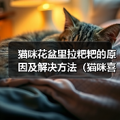猫咪为何爱在花盆排便？科学解析与解决方法