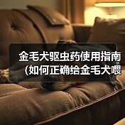 金毛犬驱虫药正确喂食方法全解析 金毛犬驱虫药正确喂食方法全解析