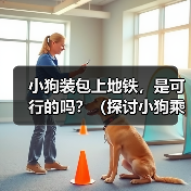 小狗装包坐地铁可行吗？安全与规定的平衡