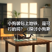 小狗装包坐地铁可行吗？安全与规定的平衡