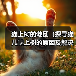 猫咪上树原因及科学救助指南 猫咪上树原因及科学救助指南