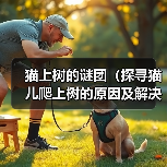 猫咪上树原因及科学救助指南 猫咪上树原因及科学救助指南
