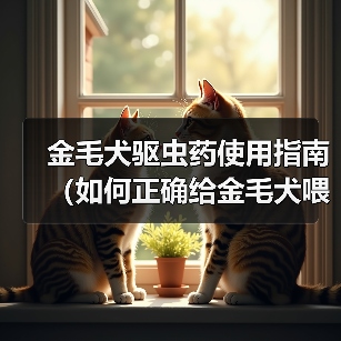 金毛犬驱虫药正确喂食方法全解析 金毛犬驱虫药正确喂食方法全解析