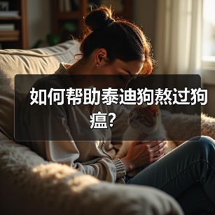 泰迪狗瘟护理全攻略:治疗与预防关键措施 泰迪狗瘟护理全攻略:治疗与预防关键措施